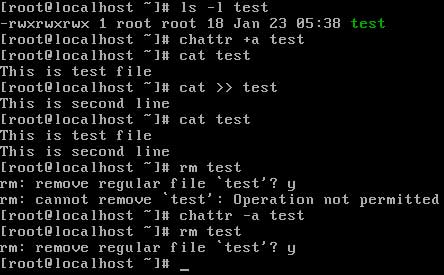 chattr commands with a switchs