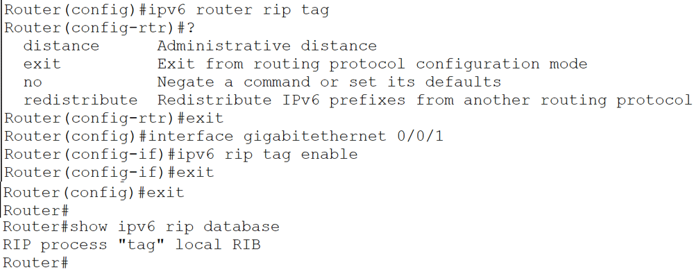 RIPng protocol
