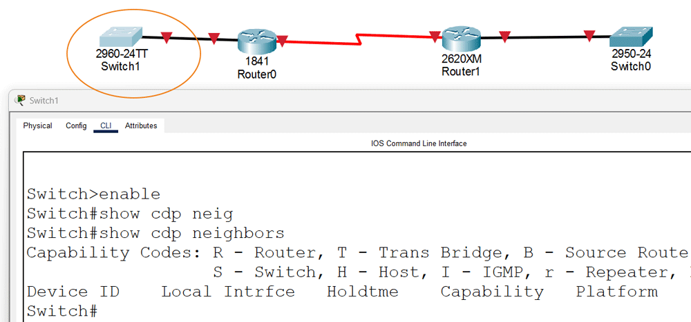 The show cdp neighbors command