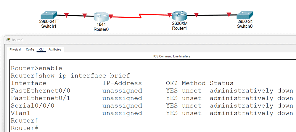 The show ip interface brief command