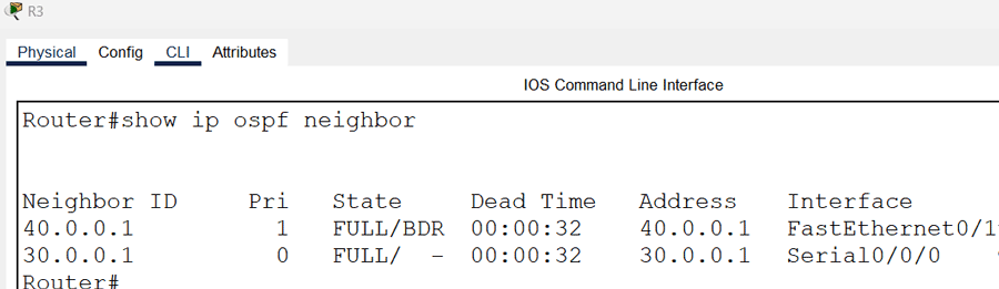 The show ospf neighbor command