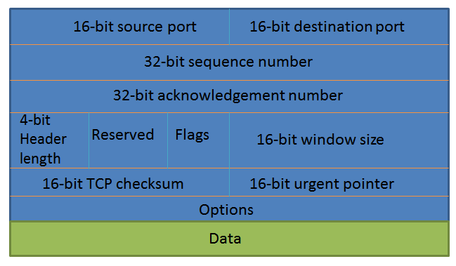 TCP header