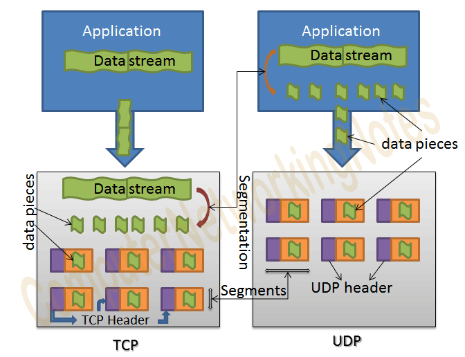 TCP and UDP segmentation process