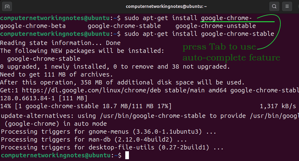 apt-get install google-chrome-stable