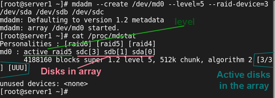 verify raid device
