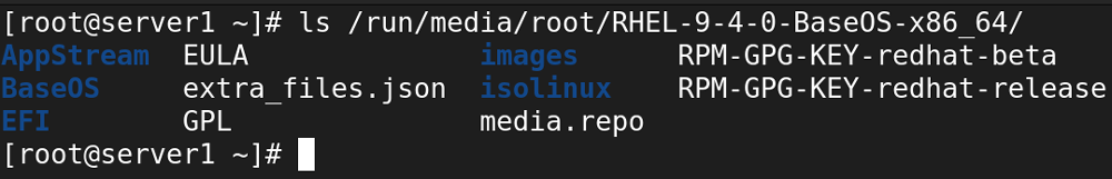 mounting rhel disk