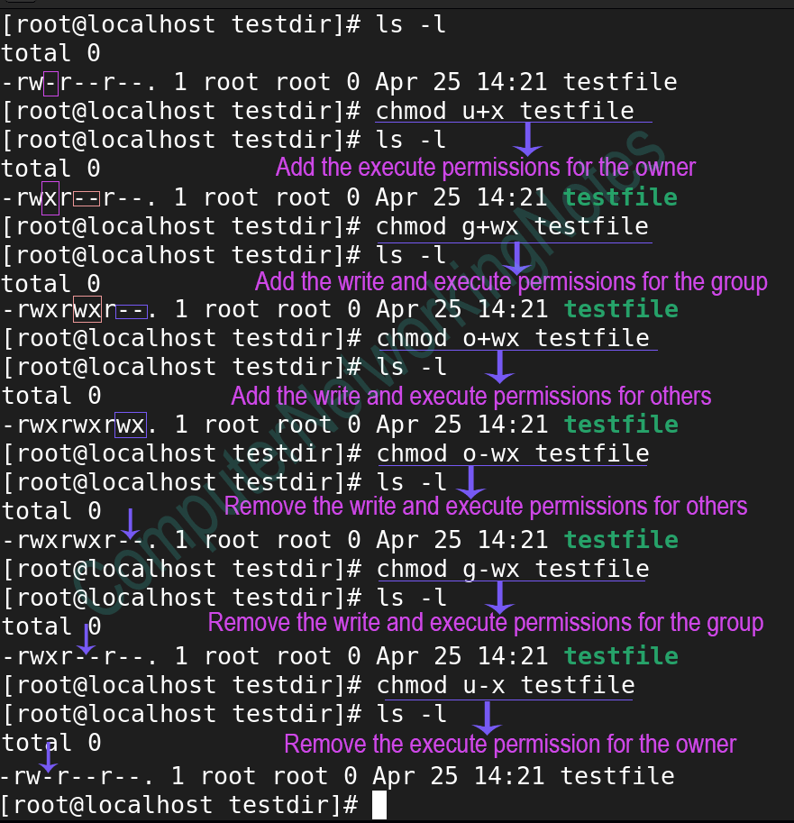 the chmod command examples