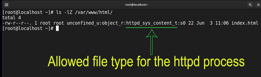 allowed file type