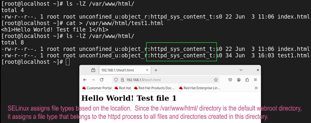 SELinux allowed file type