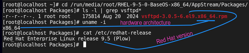 package version and architecture