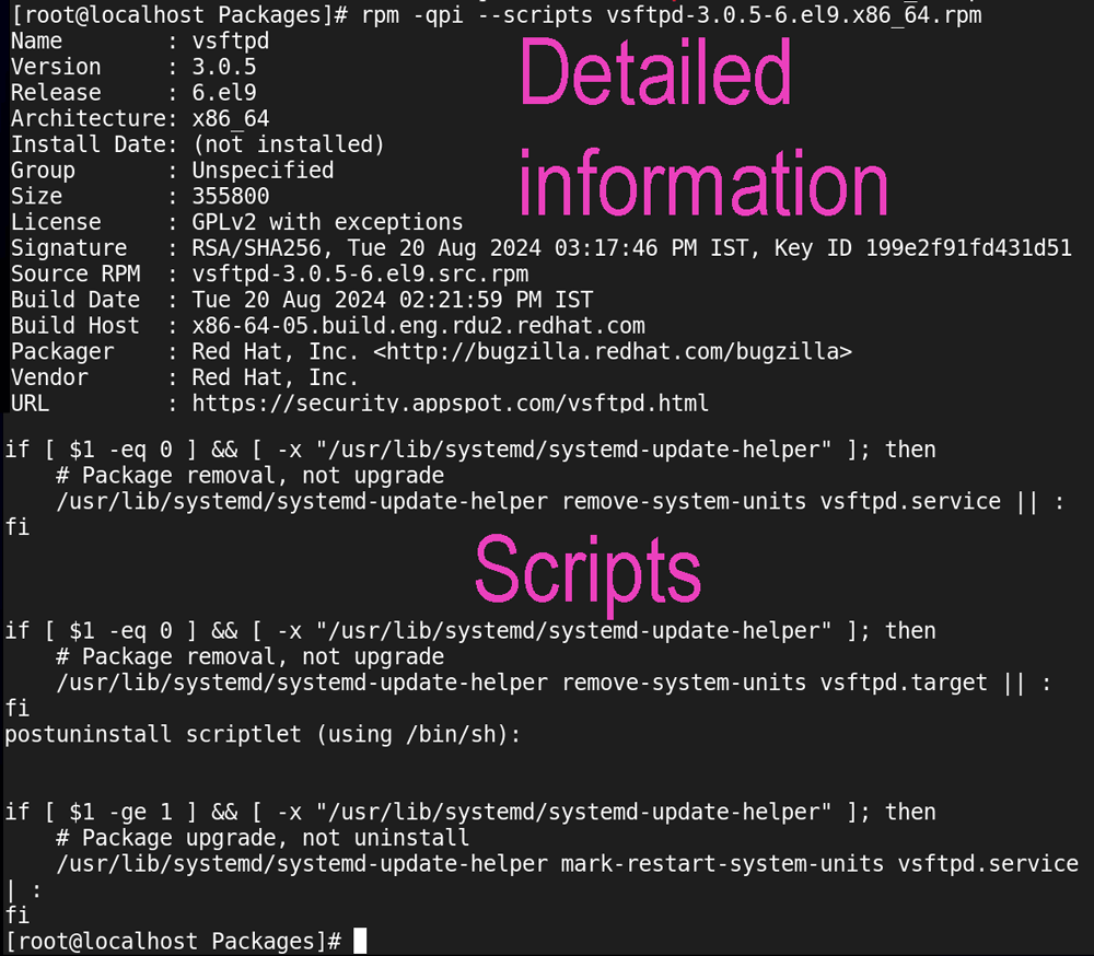 viewing package files