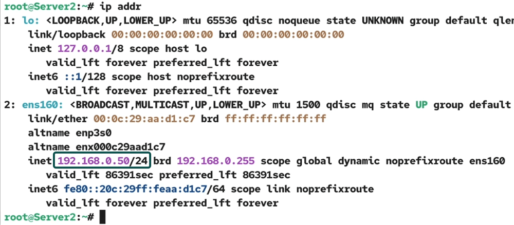Receiving IP from the dhcp server