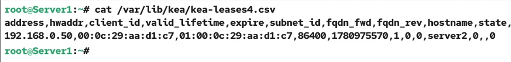 Leased IP