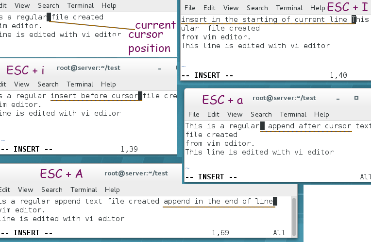 inserting and editing text