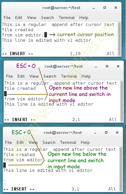 inserting blank line vim command
