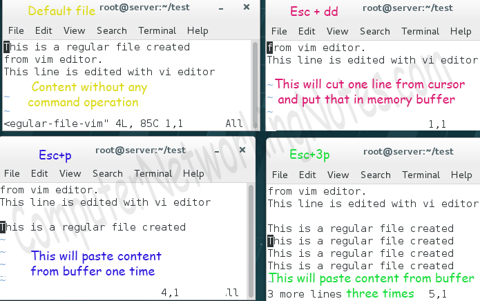 vim cut and paste command