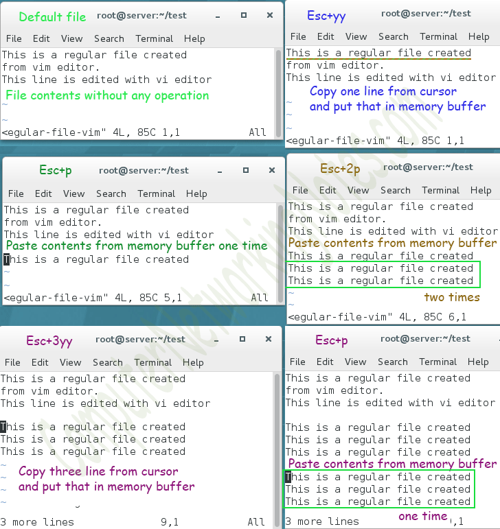 vim command for copy and paste