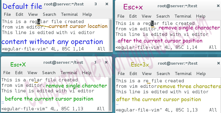 vi and vim delete single character