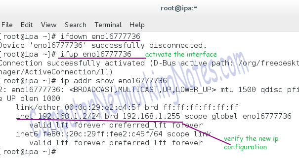 Verifying update