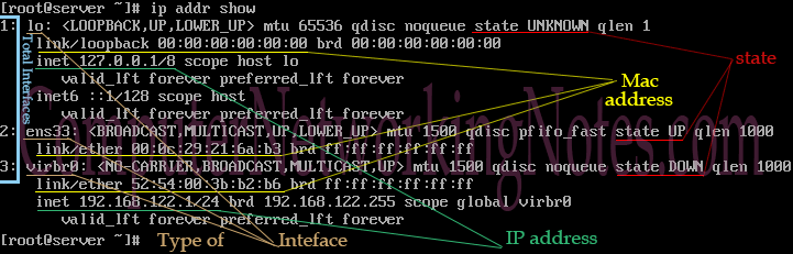 the ip addr show command
