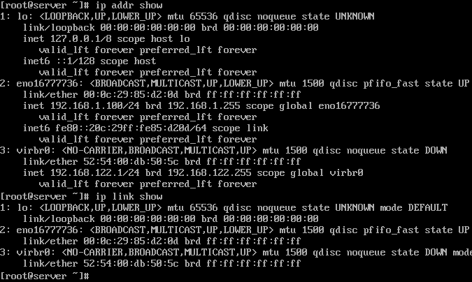 the ip link show command