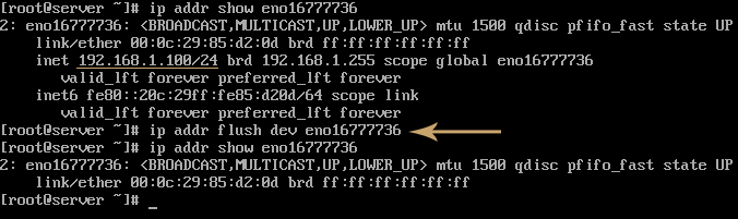 ip addr flush dev command