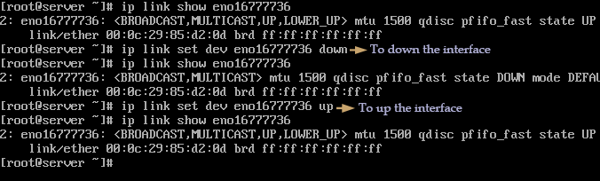 setting up and down interfaces