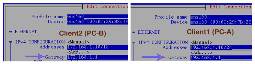 default gateway on clients