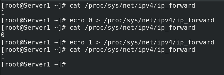enabling ip forwarding