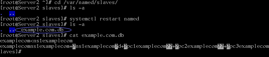 fetching the zone file from the server