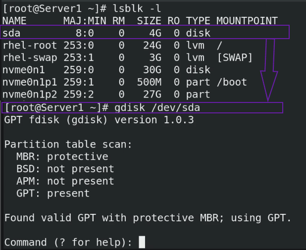 lsblk-command