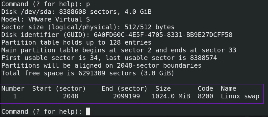 verifying swap partition